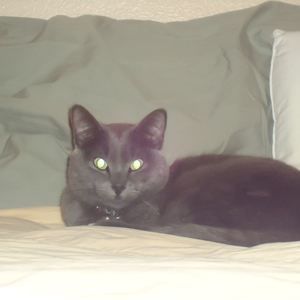 Meet your Posher, Tracy